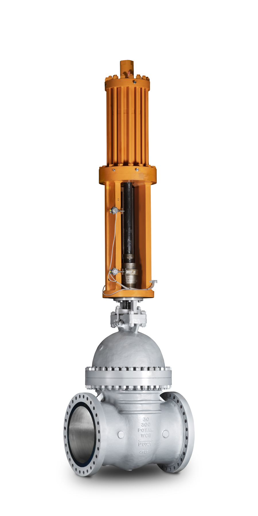 Bolted Bonnet Gate Valve Ampo