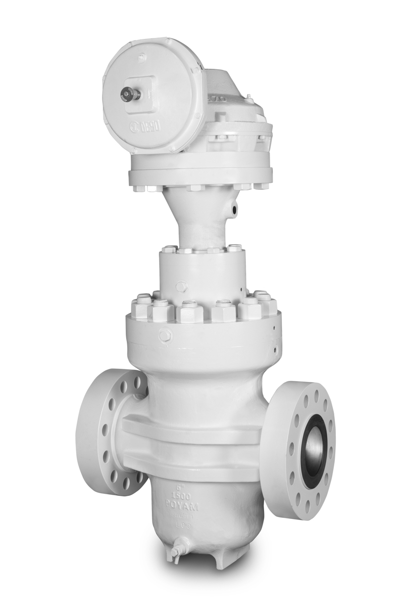 Through Conduit Double Expanding gate valve - Ampo